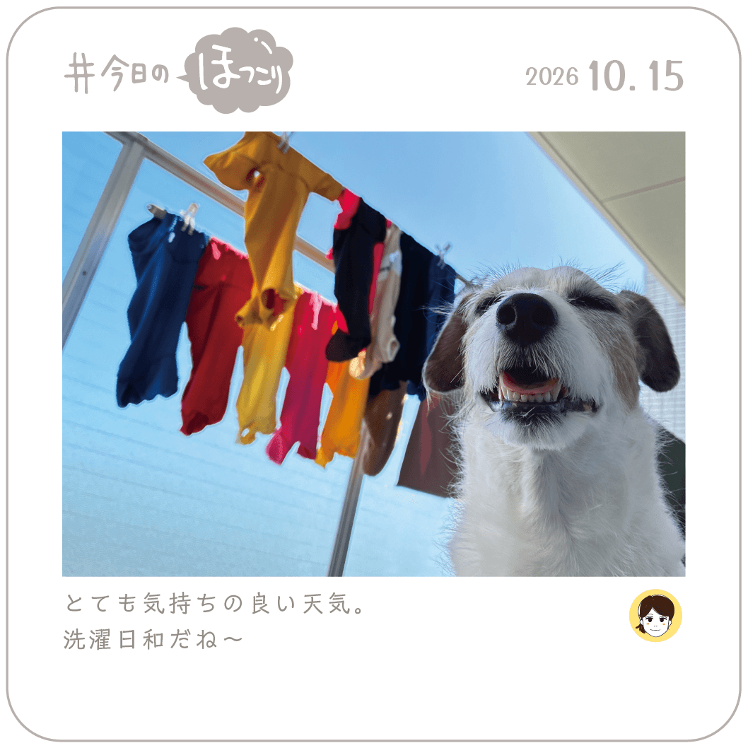 2026.10.14のほっこり