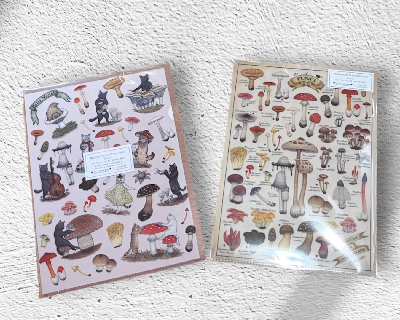 13.CATS.WORKS×YO-CO