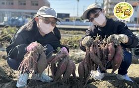「徳島県松茂・鳴門 収穫体験満喫ツアー」　　    by食育推進活動