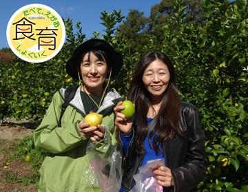 食育推進活動「京都風緑の農園 無農薬農産物収穫体験ツアー」レポート