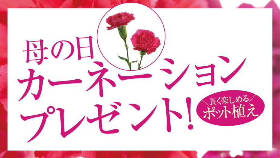 【5.10 KEIHANの母の日】母の日カーネーションプレゼント！