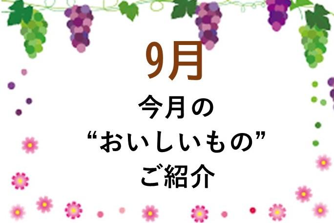 今月の”おいしいもの”ご紹介
