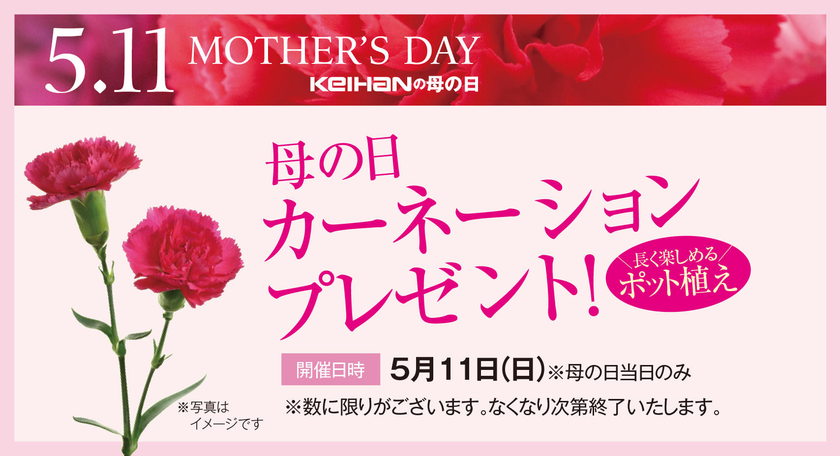 5.11母の日　カーネションプレゼント
