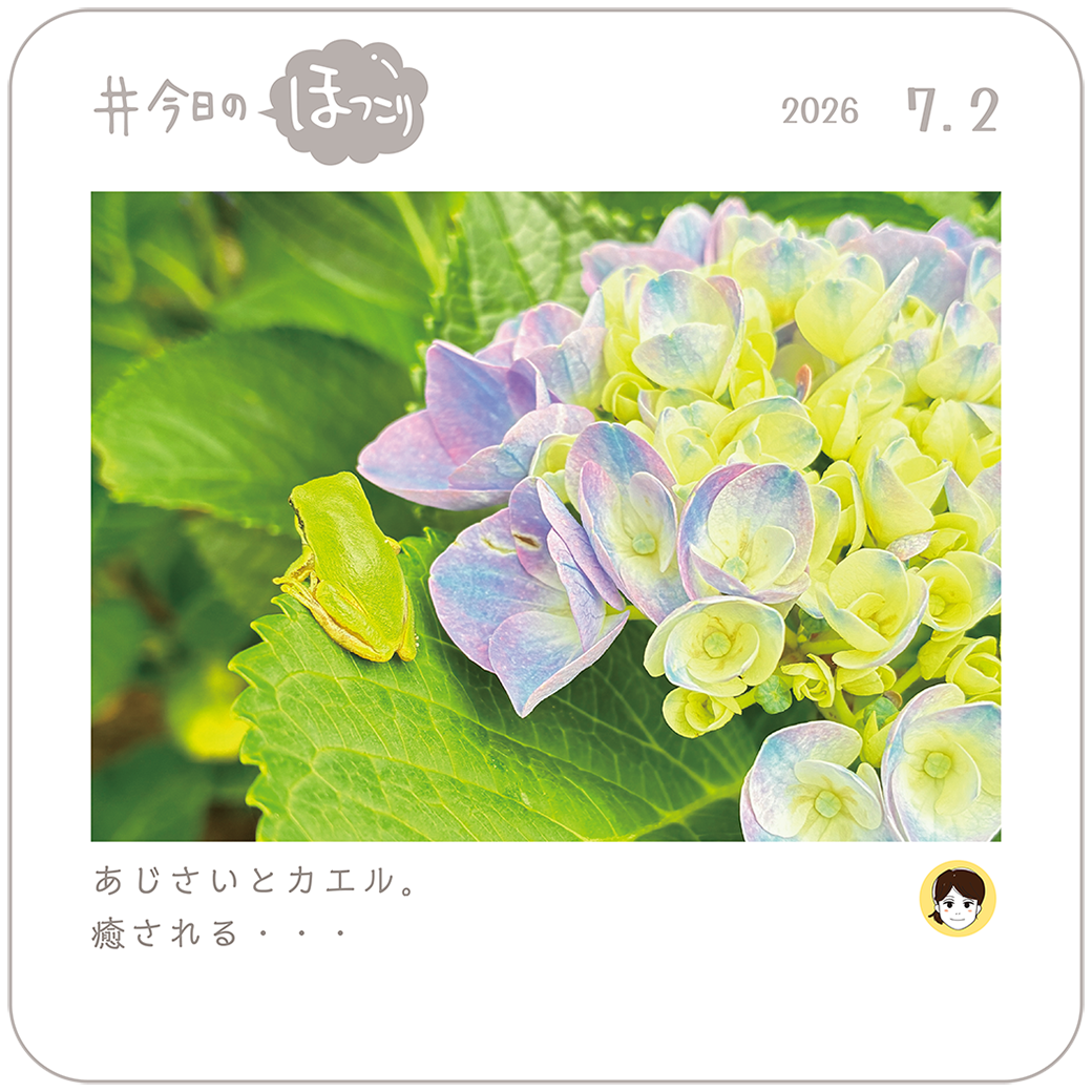 2026年7月2日のほっこり