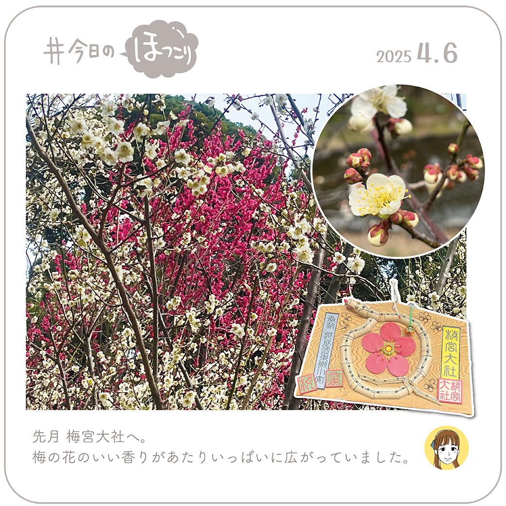 2025年4月6日のほっこり