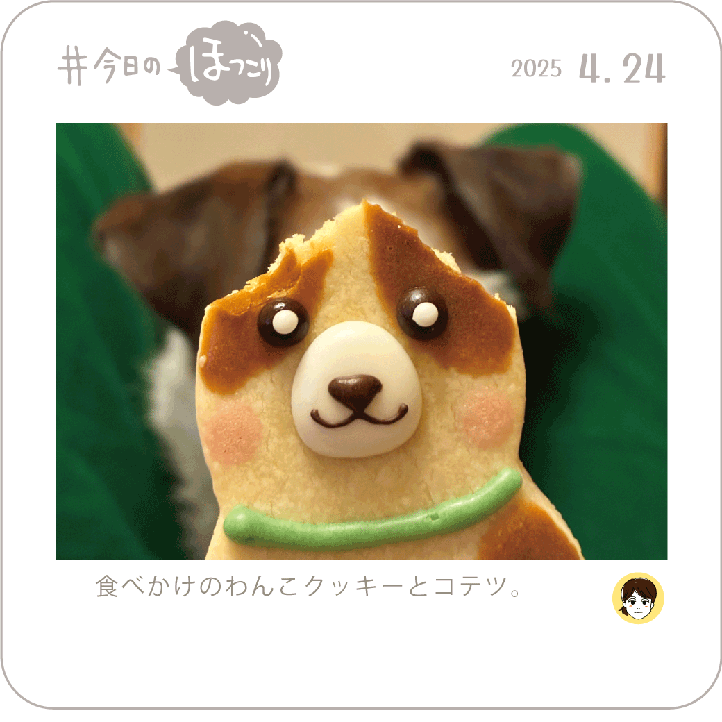 2025年4月24日のほっこり