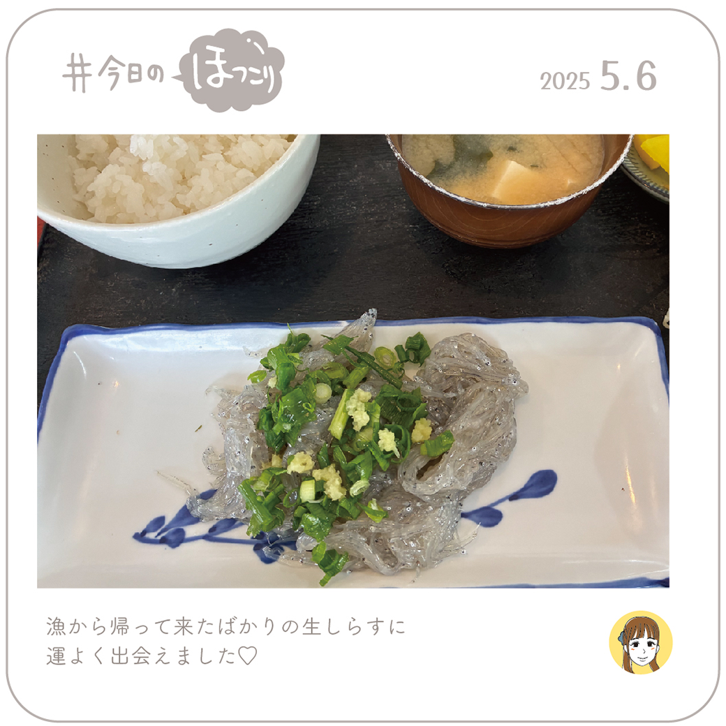 2025年5月6日のほっこり