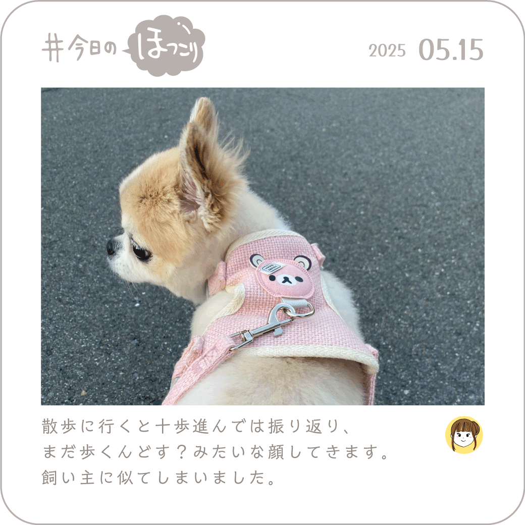 2025年5月15日のほっこり