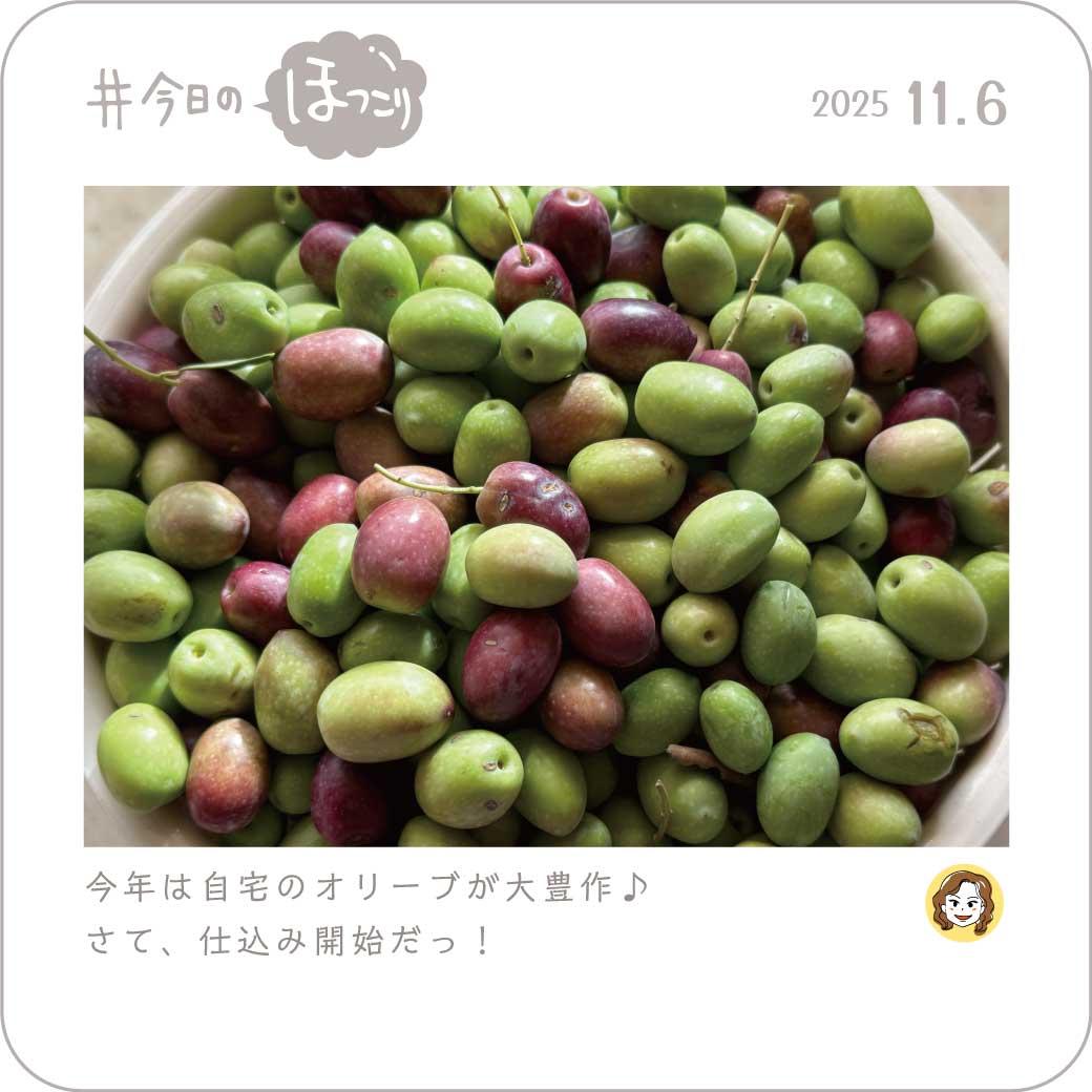 2025年11月6日のほっこり