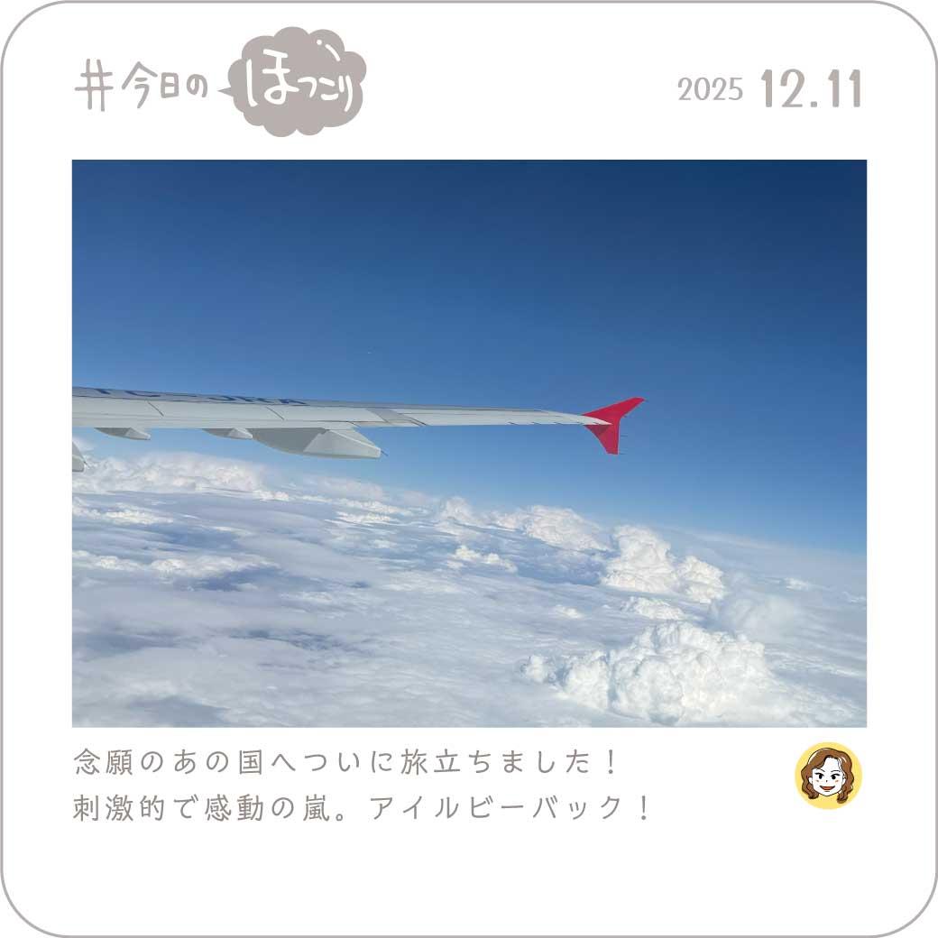 2025年12月11日のほっこり