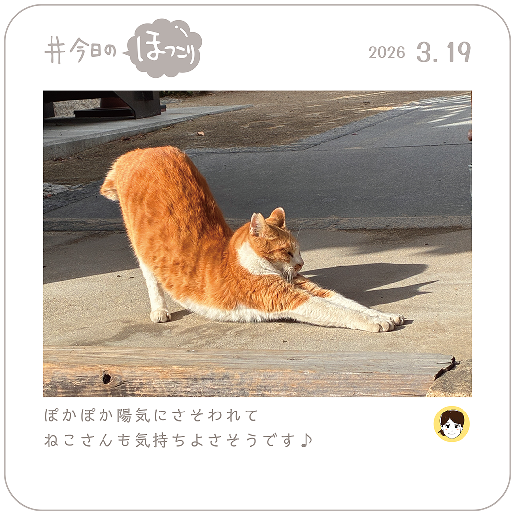 2026年3月19日のほっこり