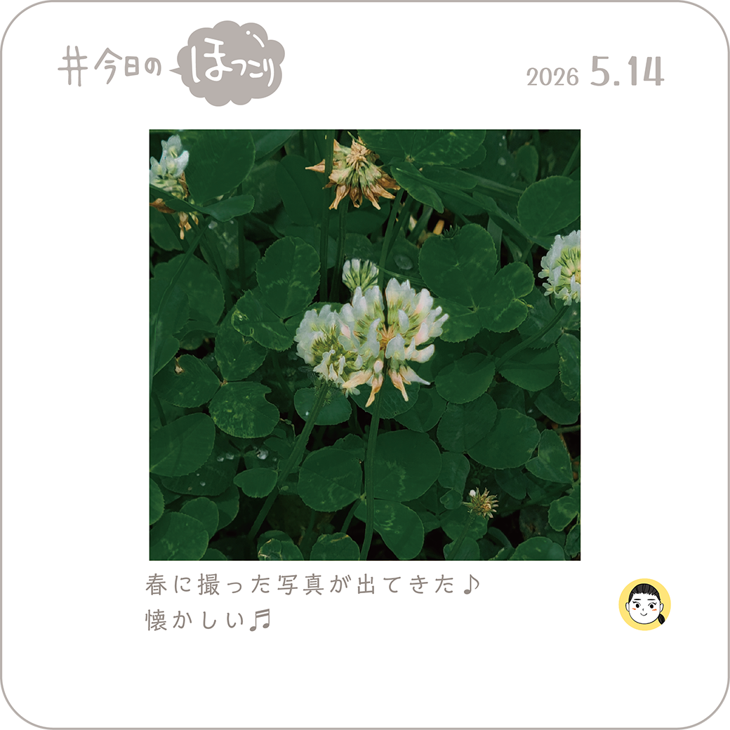 2026年5月14日のほっこり