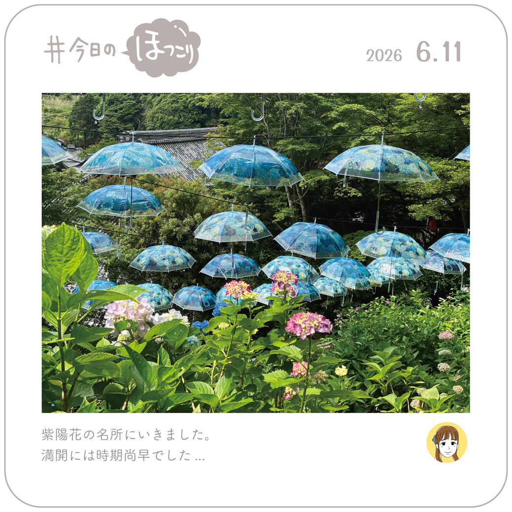2026年6月11日のほっこり