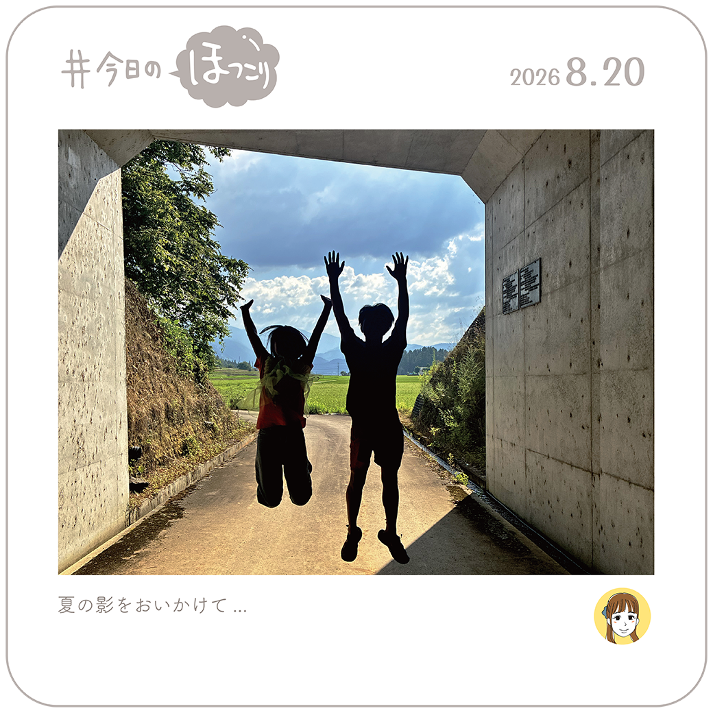 2026年8月20日のほっこり