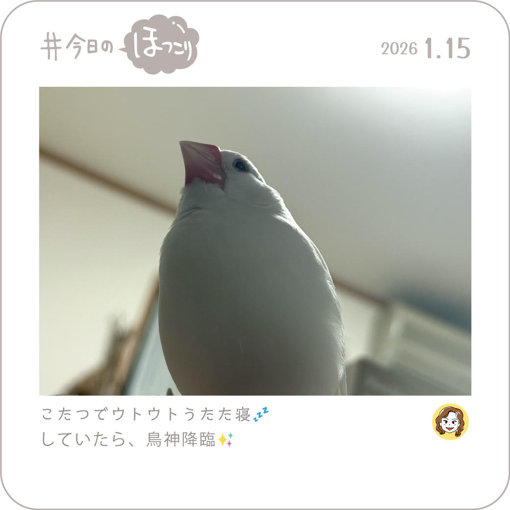 2026年1月15日のほっこり