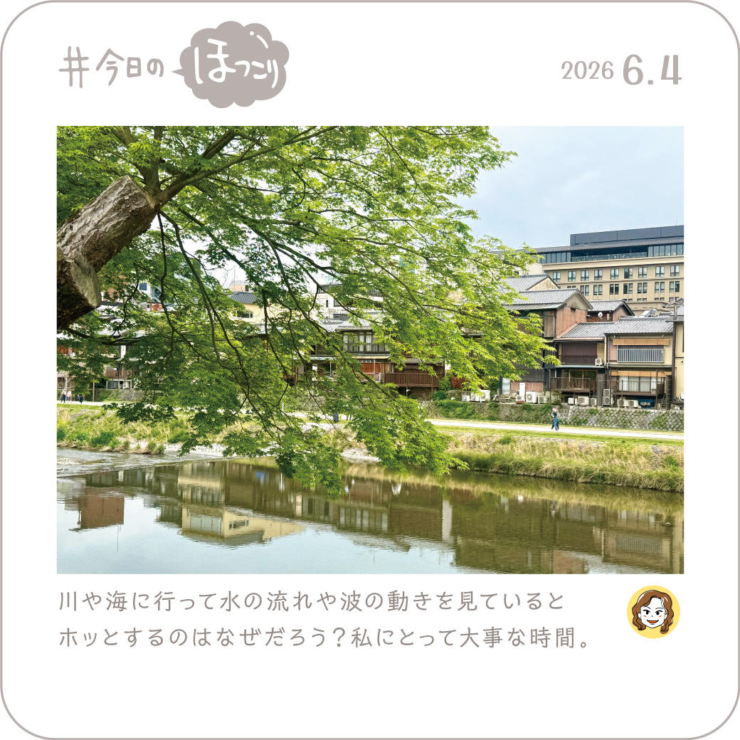 2026年6月4日のほっこり