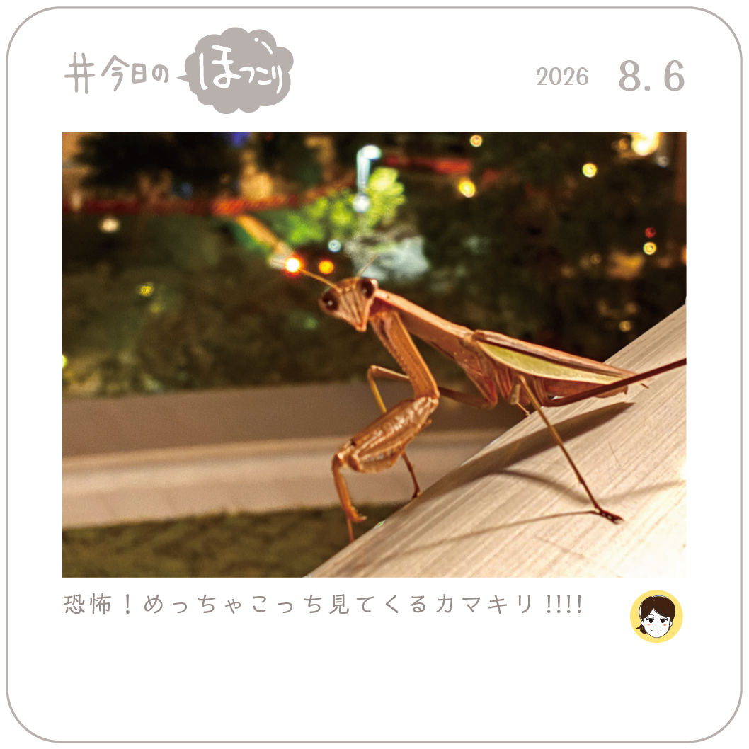 2026年8月6日のほっこり