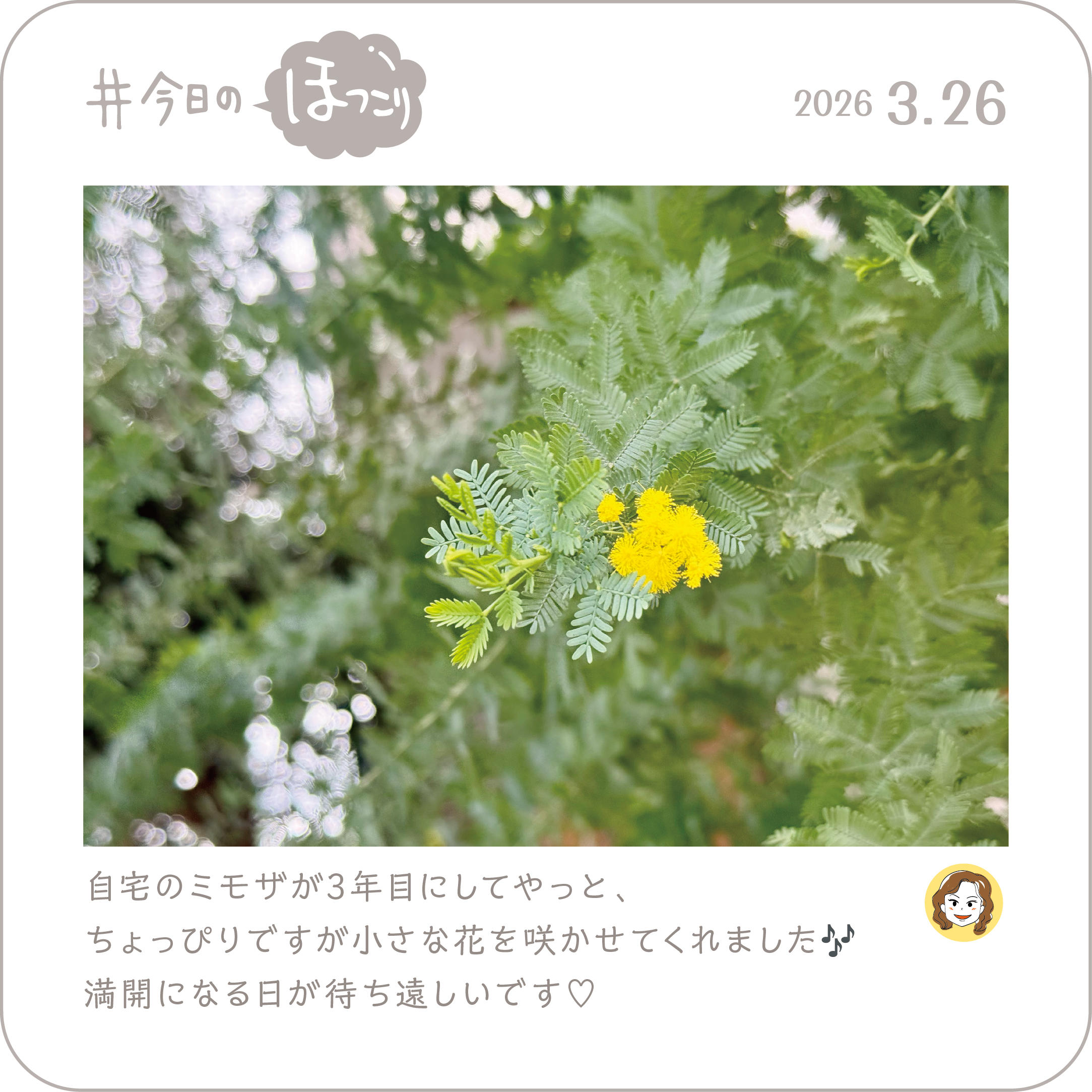 2026年3月26日のほっこり