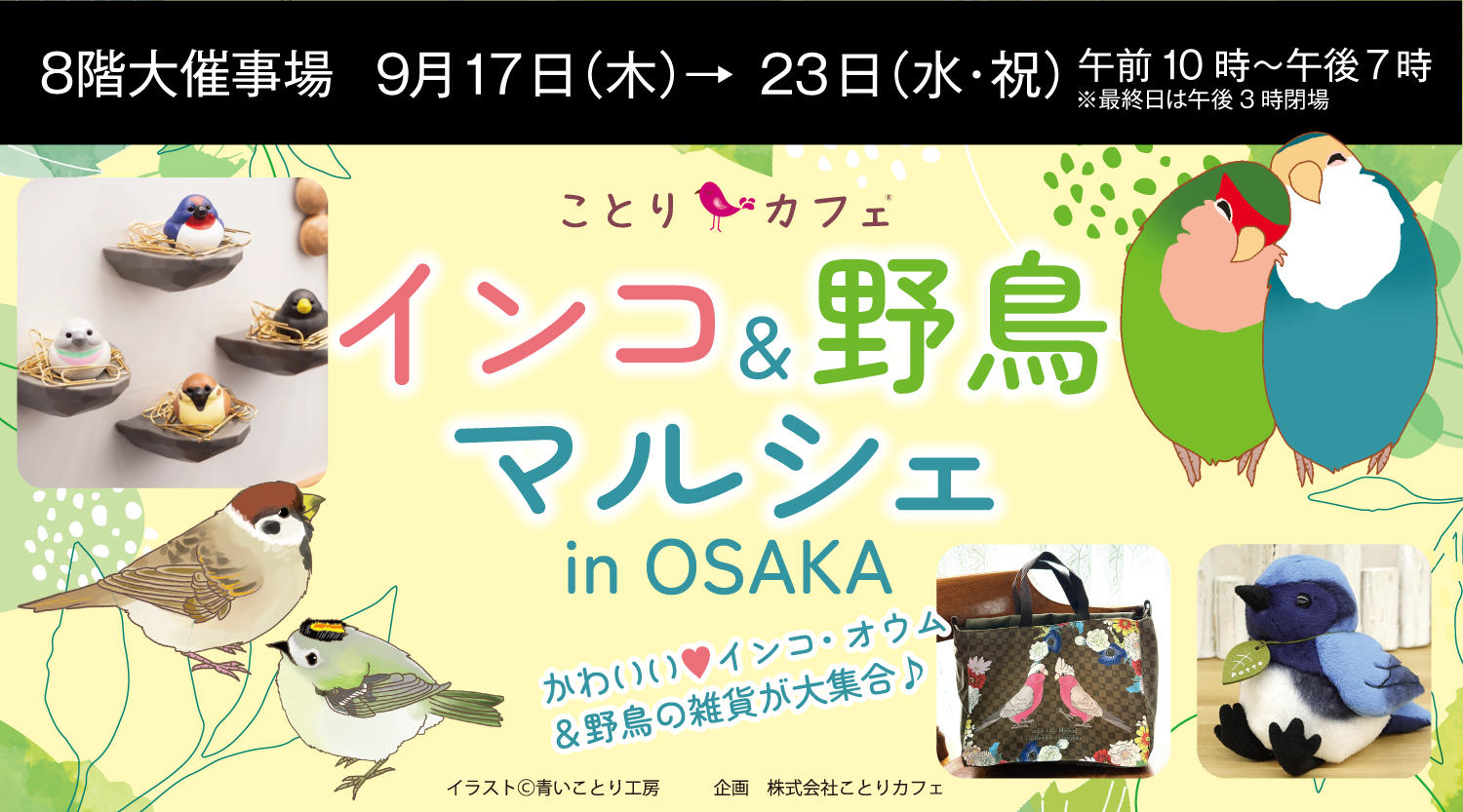 ことりカフェ