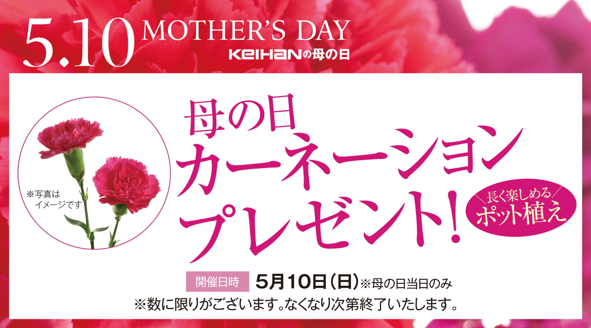 【5.10 KEIHANの母の日】母の日カーネーションプレゼント！
