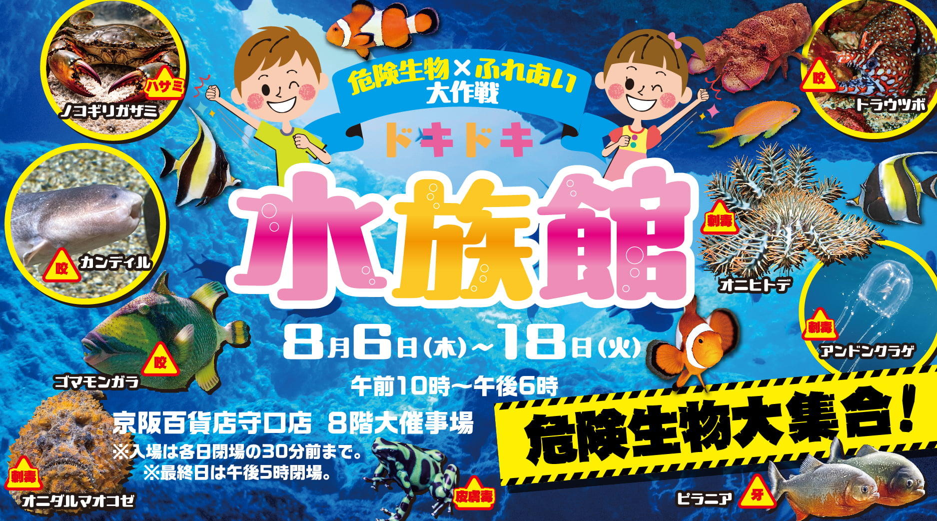 ドキドキ水族館　危険生物×ふれあい大作戦