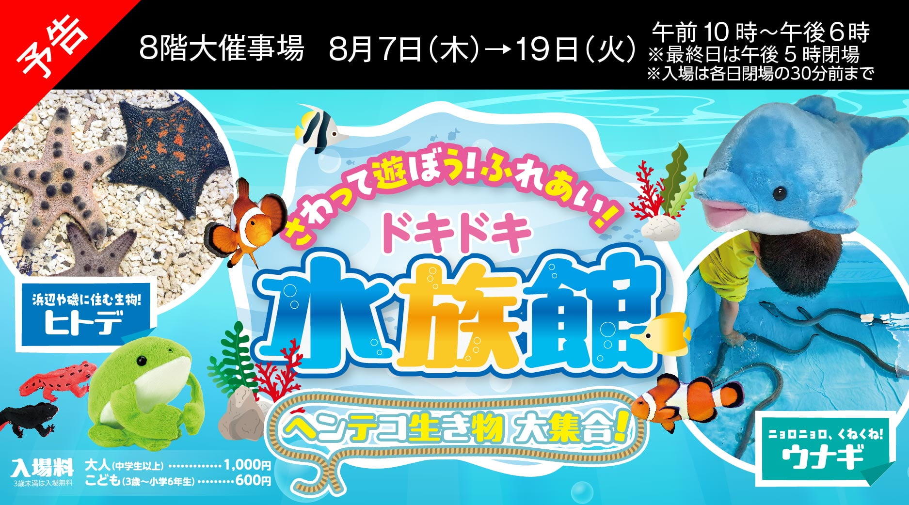 さわって遊ぼう！ふれあい！ドキドキ水族館　