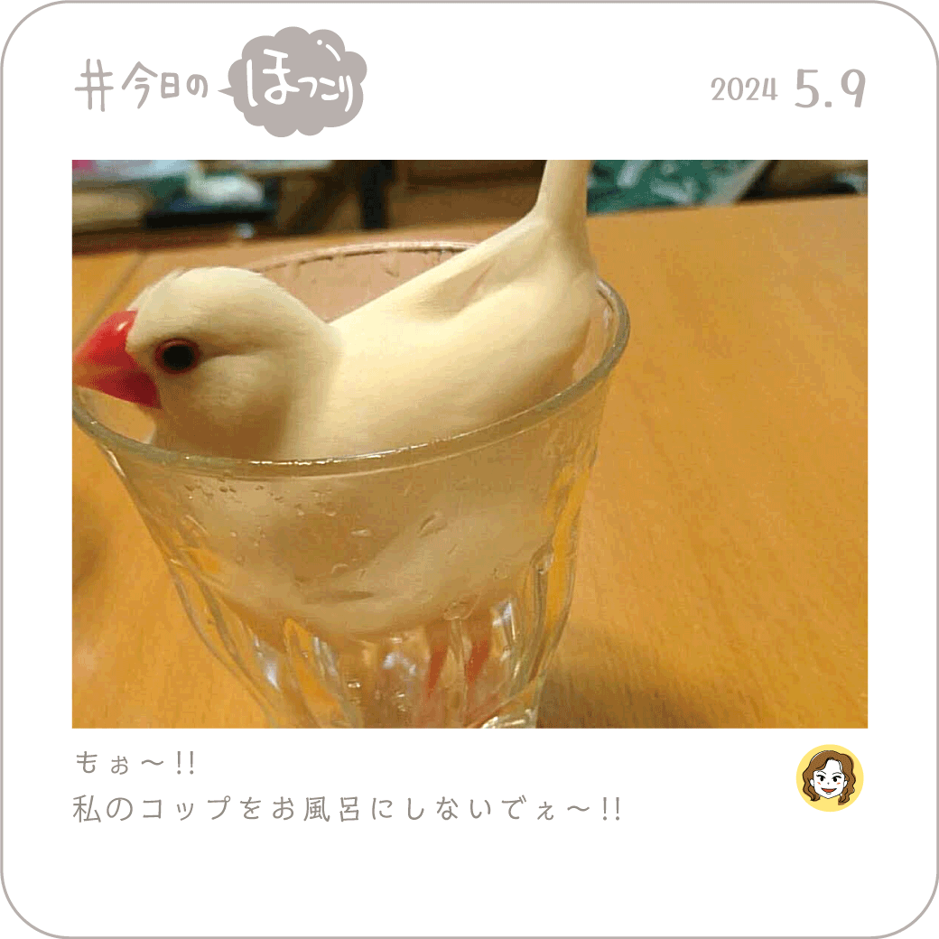 2024年5月9日のほっこり