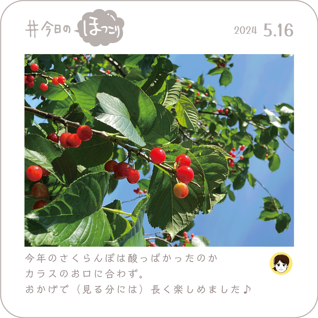 2024年5月16日のほっこり