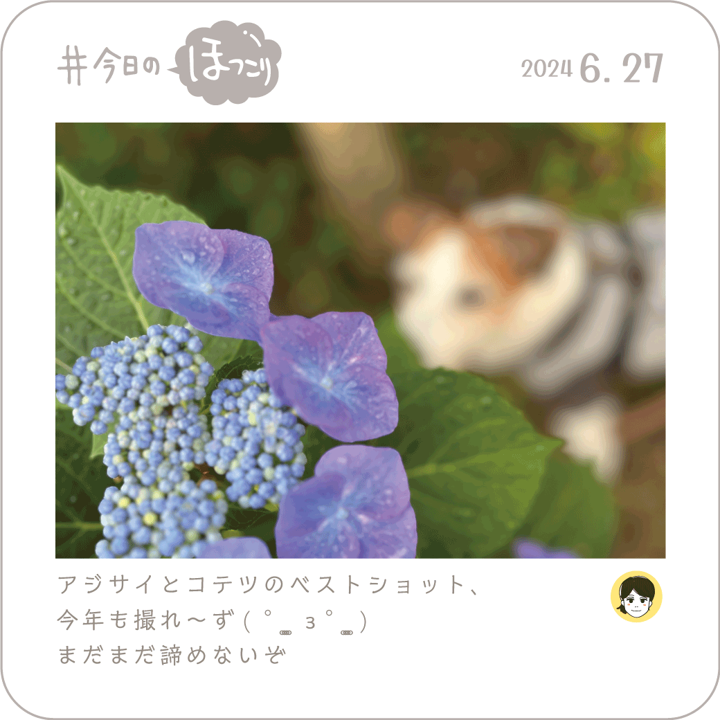 2024年6月27日のほっこり