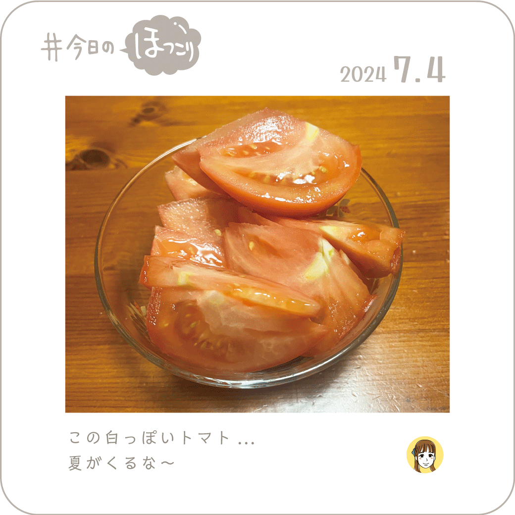 2024年7月4日のほっこり