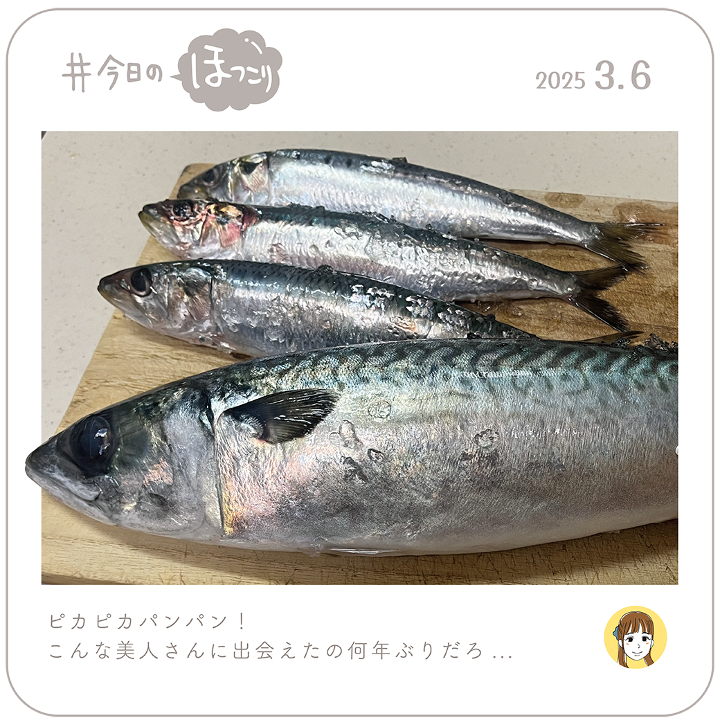2025年3月6日のほっこり