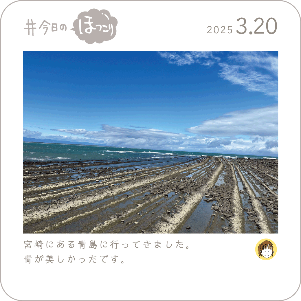 2025年3月20日のほっこり