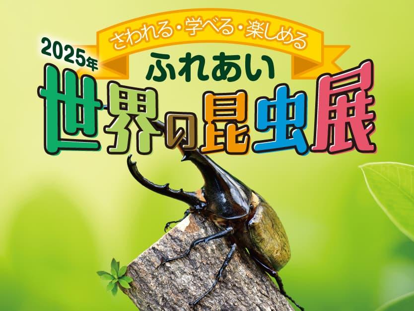 ふれあい 世界の昆虫展