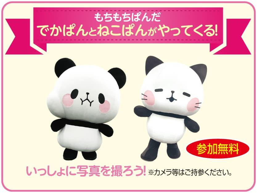 もちもちぱんだのでかぱんとねこぱんに会えるよ！