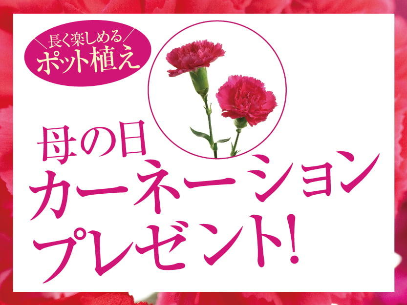 美味衆合パース