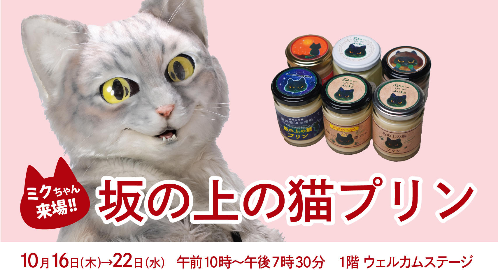 坂の上の猫プリン　ミクちゃん来場！！ウェルカムステージ