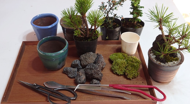 くらしのイベント情報　（12月4日更新）