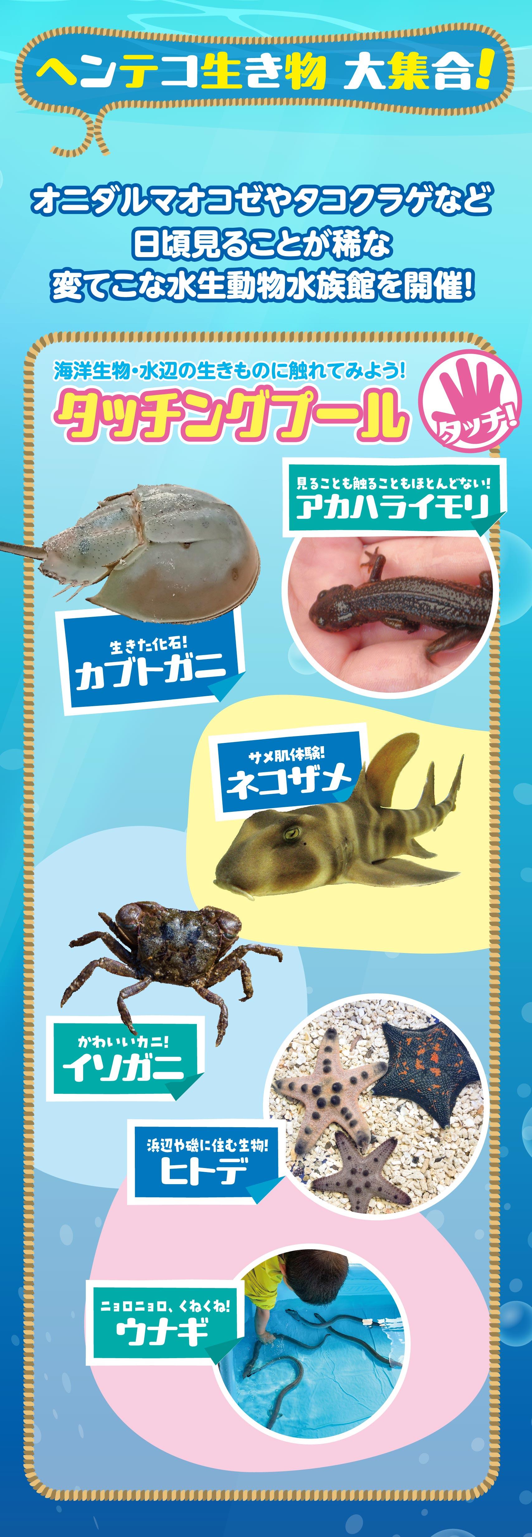 20250807_ドキドキ水族館_text-1.jpg