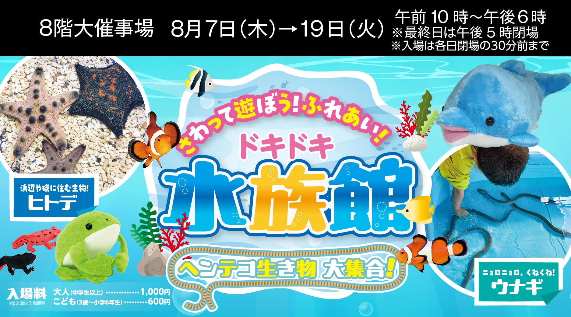 20250807_ドキドキ水族館_slide.jpg