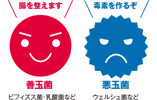 腸活 毎日コツコツ腸内整理 守口店 京阪百貨店 腸活 毎日コツコツ腸内整理 守口店 京阪百貨店