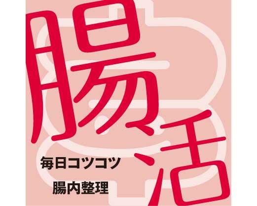 毎日コツコツ腸内整理