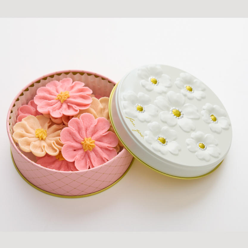 お花のぼうろ　コスモス