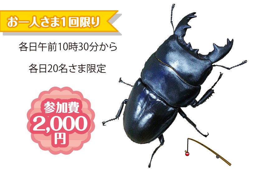 昆虫お楽しみ袋釣り大会各日午前10時30分から各日20名さま限定