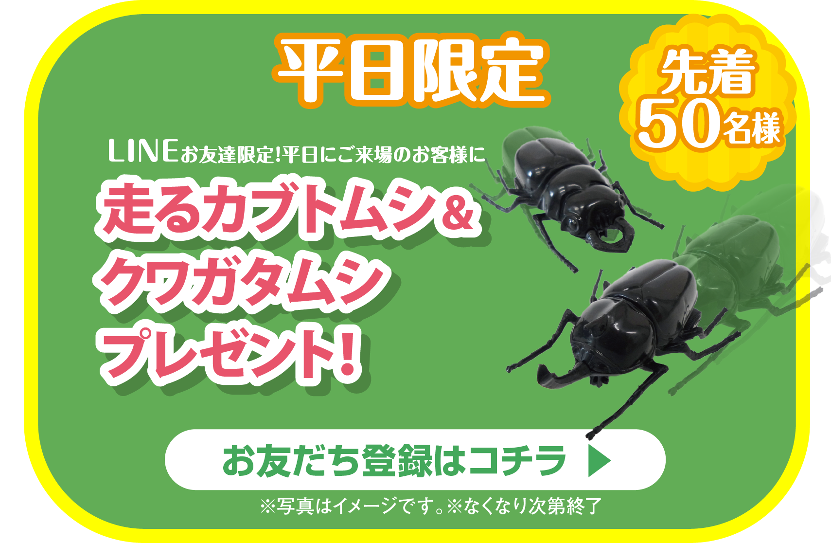 京阪百貨店公式LINEお友だち限定　LINEお友達限定 平日にご来場のお客様に走るカブトムシとクワガタムシプレゼント‼※お一人様1回限り ※なくなり次第終了　お友だち登録はコチラ ▶︎