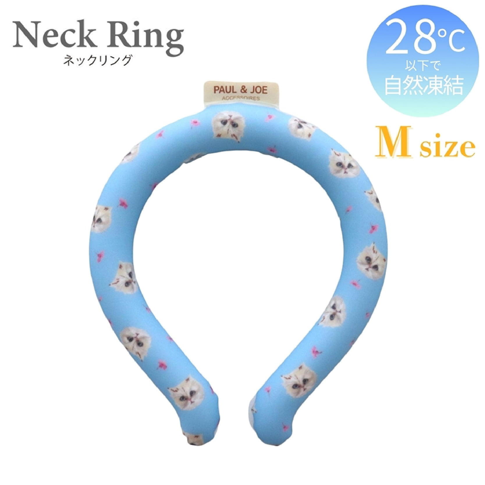 写真の商品名、商品概要など