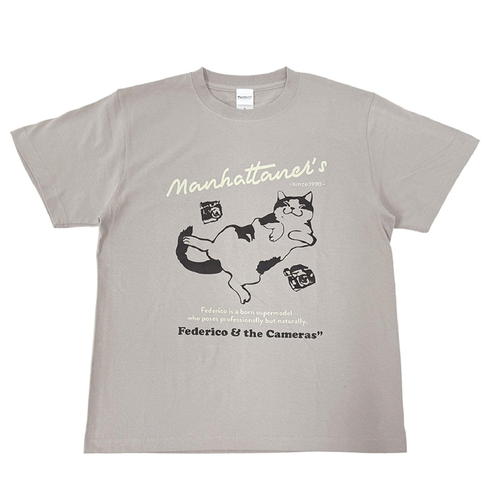 写真の商品名、商品概要など