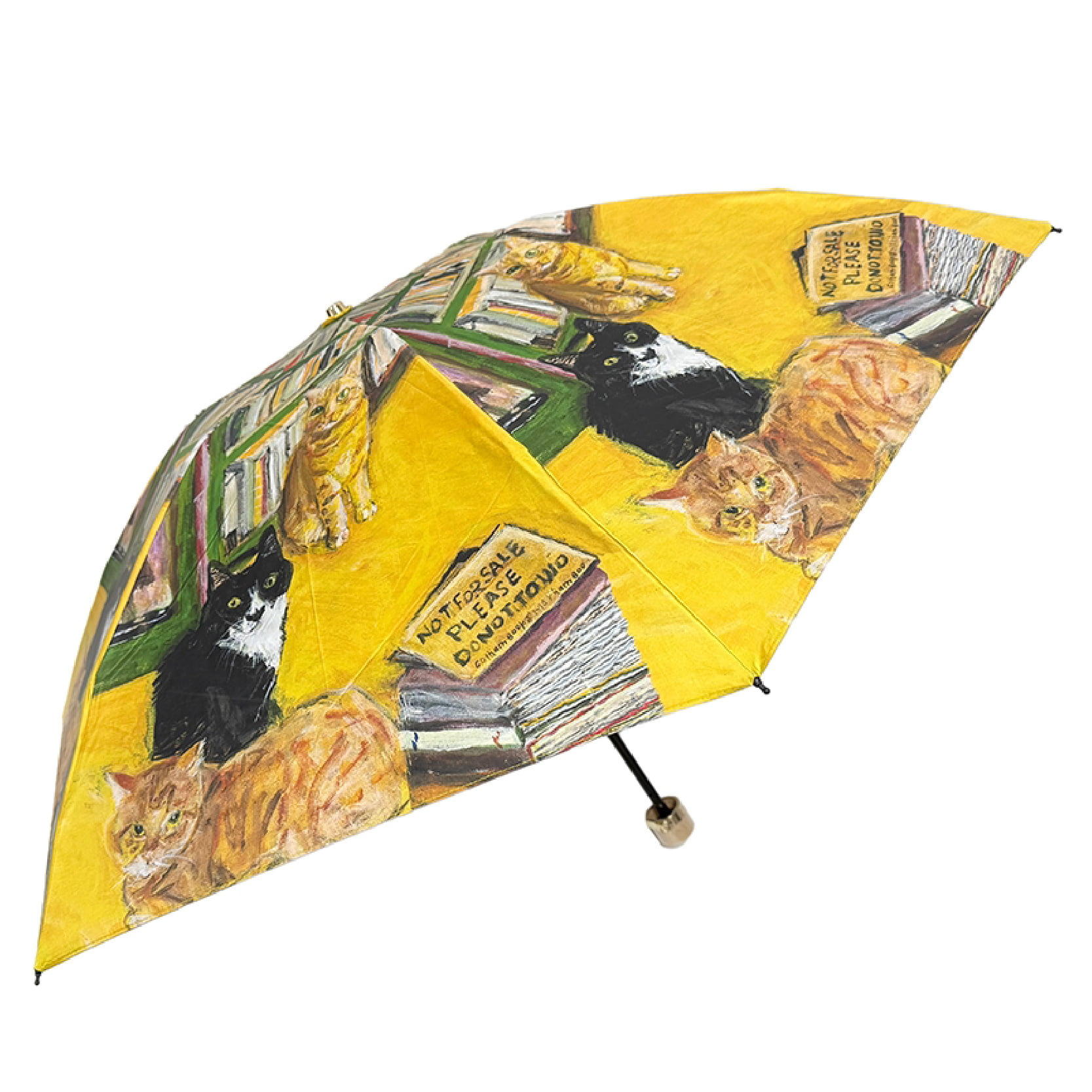 写真の商品名、商品概要など