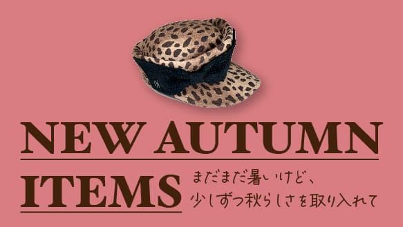 NEW AUTUMN ITEMS ～まだまだ暑いけど少しずつ秋らしさを取り入れて