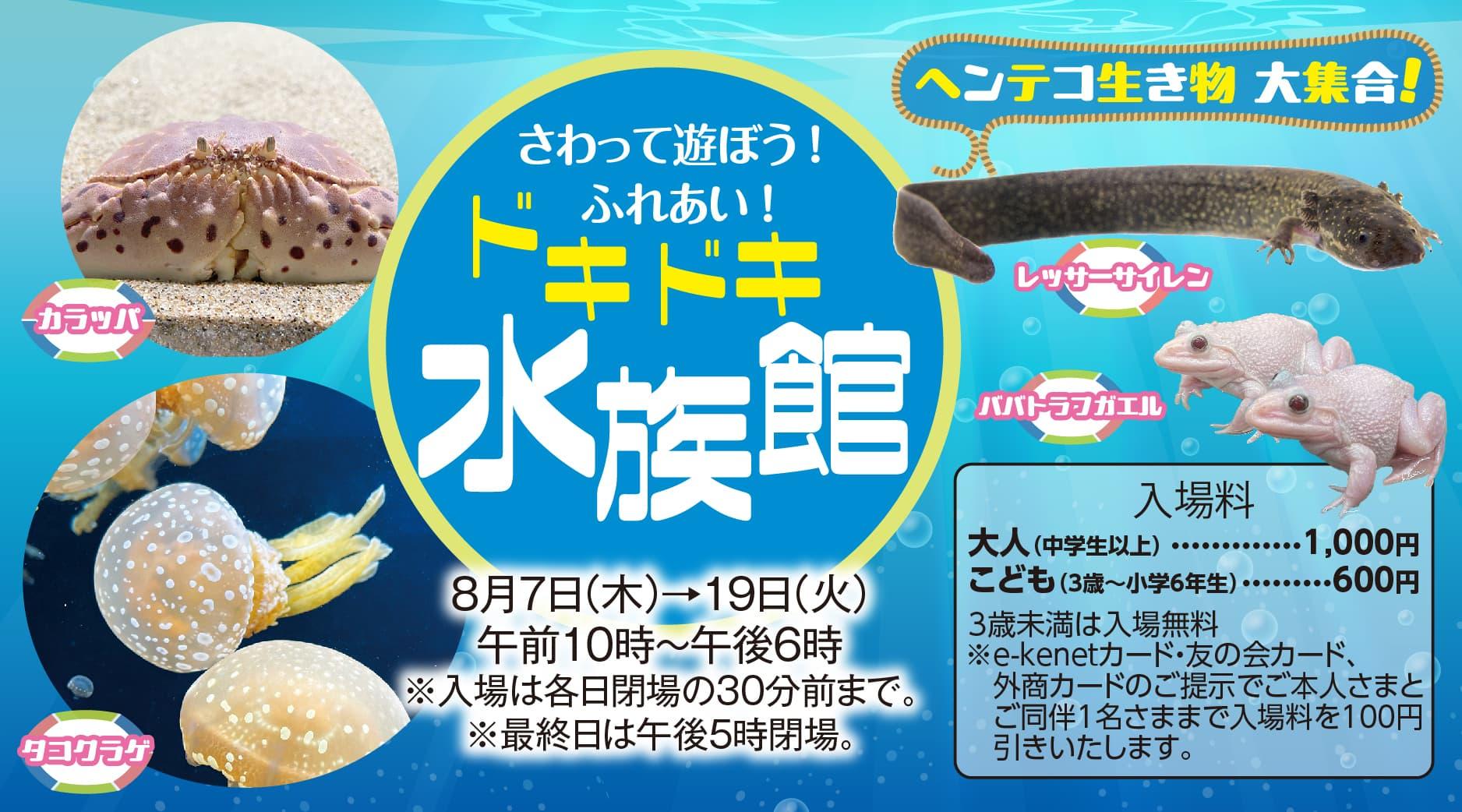 さわって遊ぼう