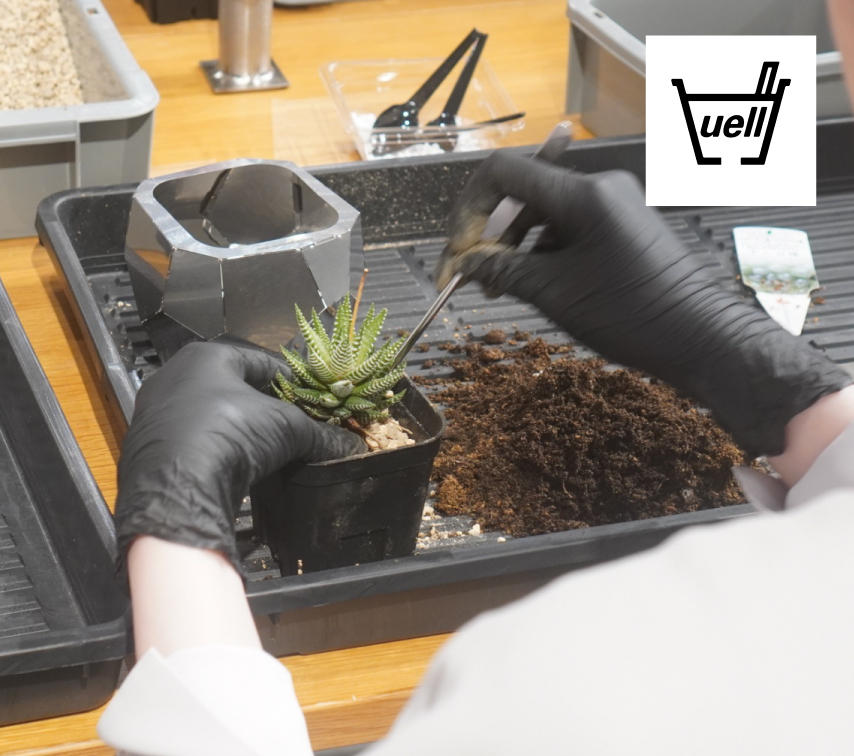 植物の植え替えワークショップ